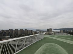 -飞凤山奥体公园