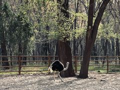 -秦皇岛野生动物园