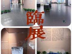 -平顶山博物馆
