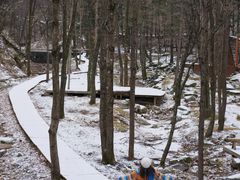 -洛阳白云山景区