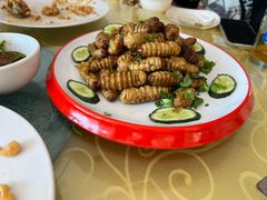 -华龙特色大骨鸡农家菜馆