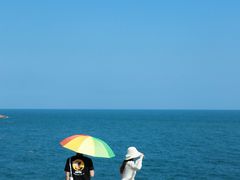 -广东惠东海龟国家级自然保护区