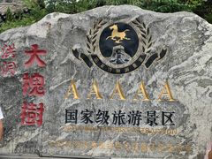 -大槐树寻根祭祖园