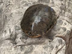 -苏州独墅湖书香世家酒店