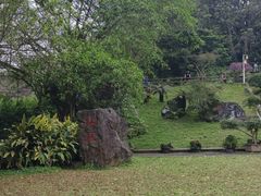 -海口火山口国家地质公园