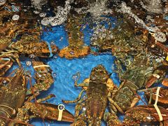 -海景壹号大酒店(惠钱路店)