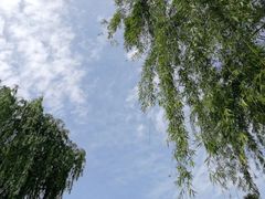 -尚贤河湿地
