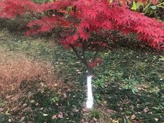 -绍兴鉴湖君澜大酒店