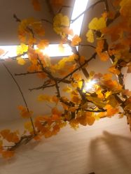 -芳朵美容养生SPA