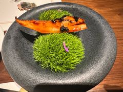 -觀芷隐轩