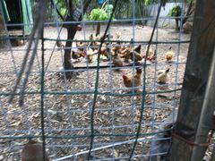 -邹记·美食(斗门店)