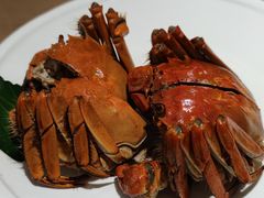 醉熟蟹-苏小柳点心·手作小笼包(浦东嘉里城分院)