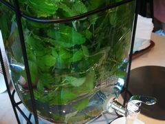 薄荷水-麦田工坊(月湖店)