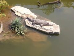 -南昌动物园