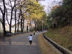-风云岭森林公园