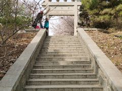 -樱花山风景区