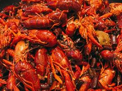 -蛙蛙叫干锅年代(簋街总店)