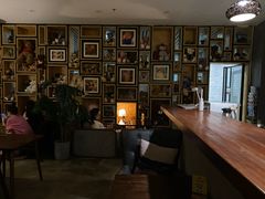 -咖法森林·咖啡  酒吧(天河店)