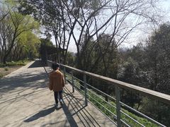 -西湖风景区-江洋畈生态公园