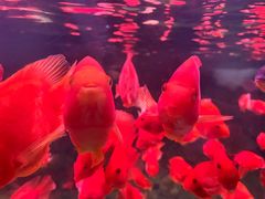 -常州海昌海洋探索馆