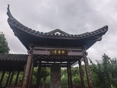-葛仙湖公园