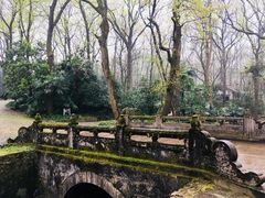 -灵谷景区