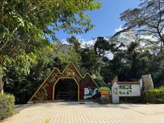 -海南霸王岭国家森林公园