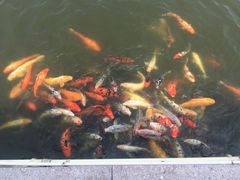 -南戴河国际娱乐中心