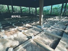-北京周口店北京人遗址博物馆