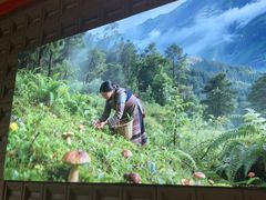 -菌自在·云南野生菌火锅(长安万达店)