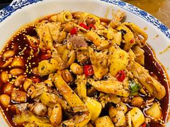 -龙翔山庄雷鸡肉(青城后山泰安古镇店)