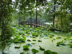 -东湖落雁景区