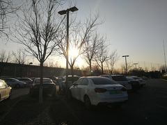 -奥林匹克森林公园北园-停车场