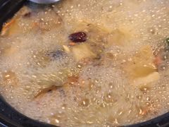 -七采菌园·石锅鱼野生菌火锅(环城北路店)