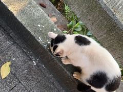 -广州市白云山风景名胜区