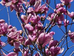 -首都医科大学附属北京友谊医院(西城院区)