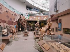 -陕西自然博物馆