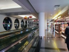 -厦门高崎国际机场-T3航站楼