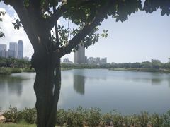 -万绿园