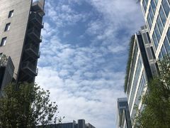 -景芳周大姐(国大城市广场店)