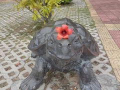 -广东惠东海龟国家级自然保护区