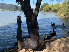 -长兴太湖图影湿地文化园