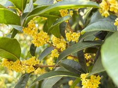 -杭州城北体育公园