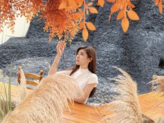 -Blue Concept Cafe&Farm·關於藍