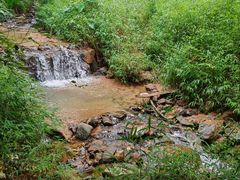 -黄埔油麻山森林公园