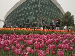 -石家庄市植物园