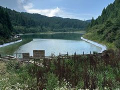 -武陵山森林公园