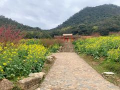 -广州市石门国家森林公园
