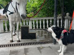 -J Create城市露营咖啡·简餐·宠物(上海动物园店)