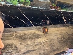-红辣椒·川菜·火锅(张杨路店)